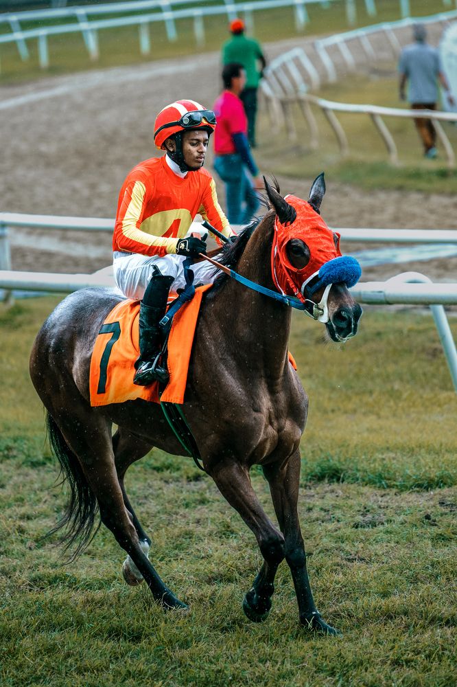 Photograph by Akeem Chandler-Prescod