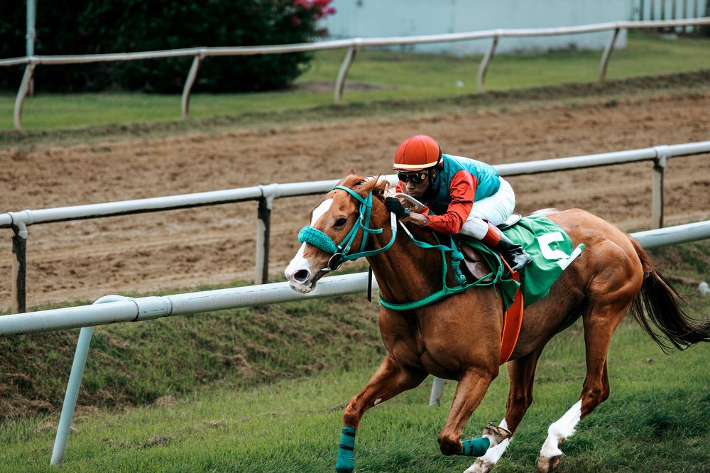 Photograph by Akeem Chandler-Prescod