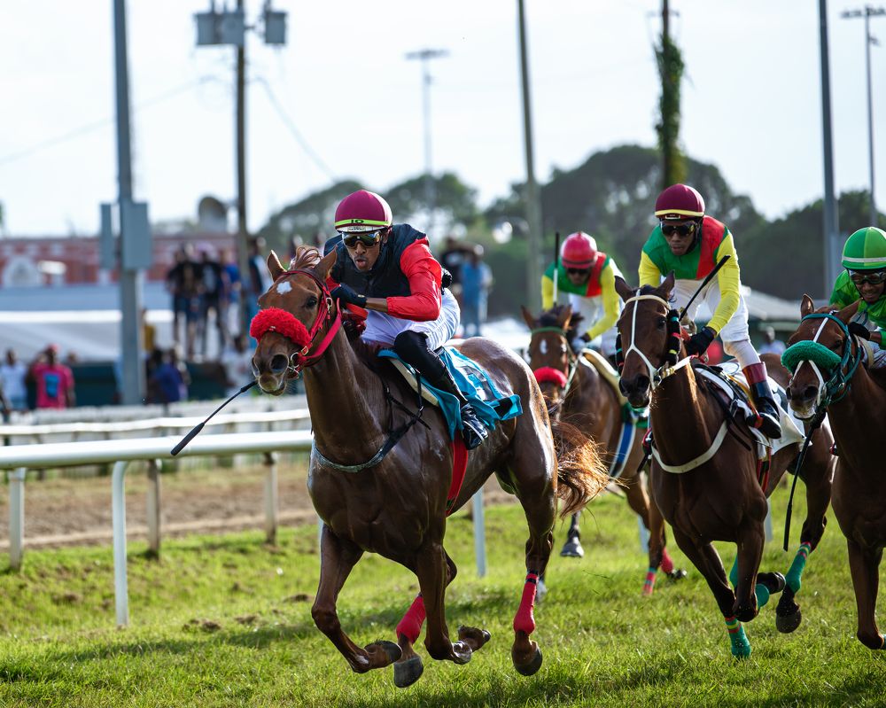 Photograph by Akeem Chandler-Prescod