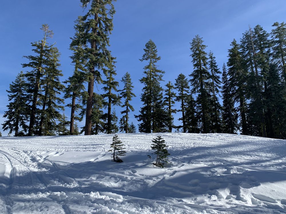 Photograph by Nataliia Diamond