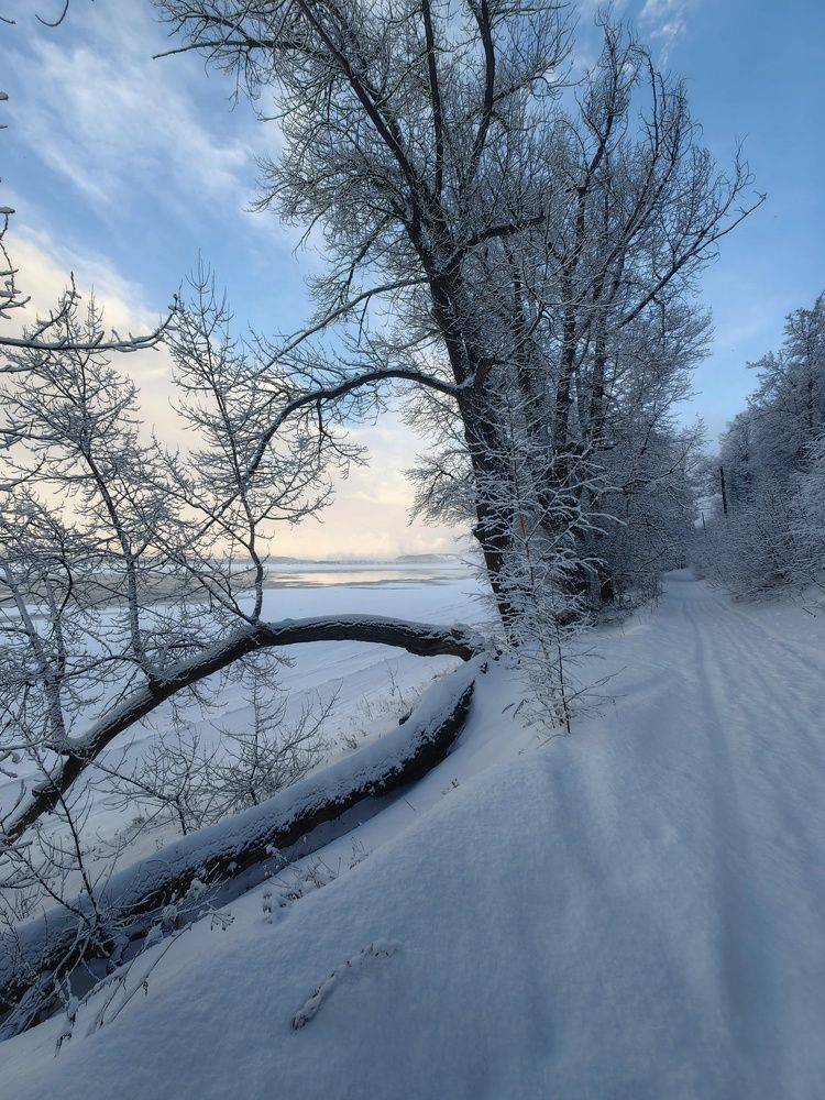 Photograph by Денис Сухов