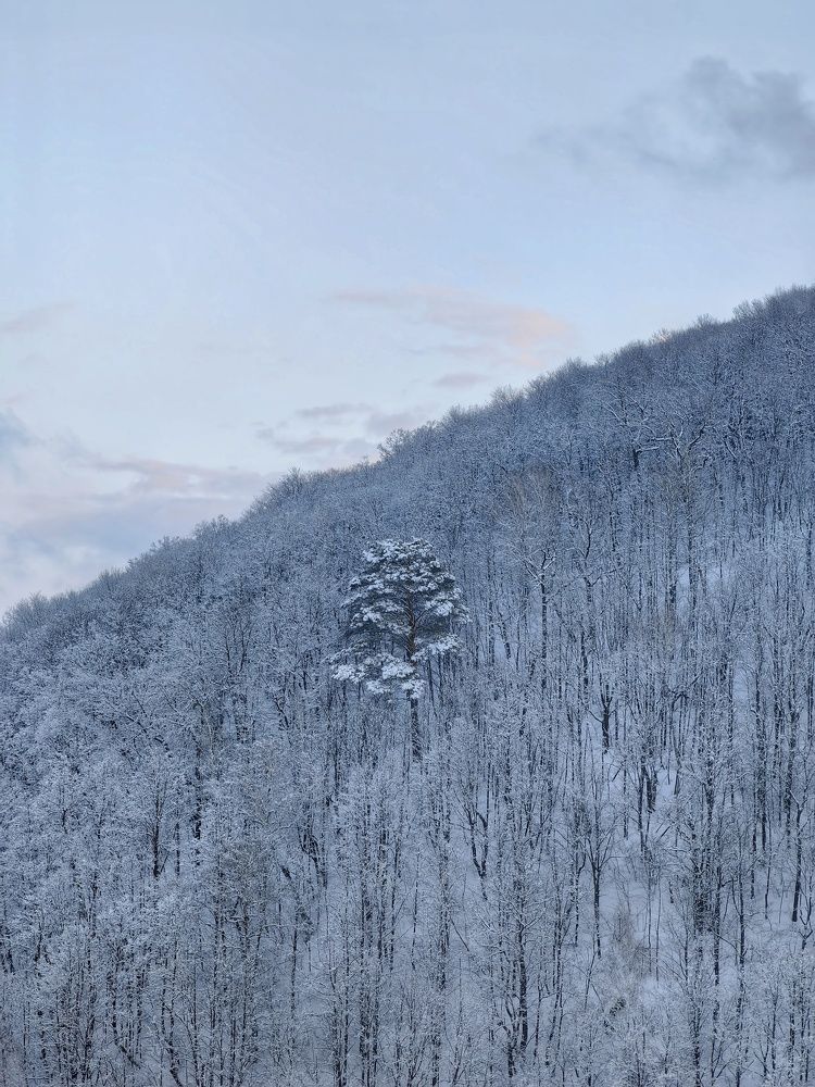 Photograph by Денис Сухов
