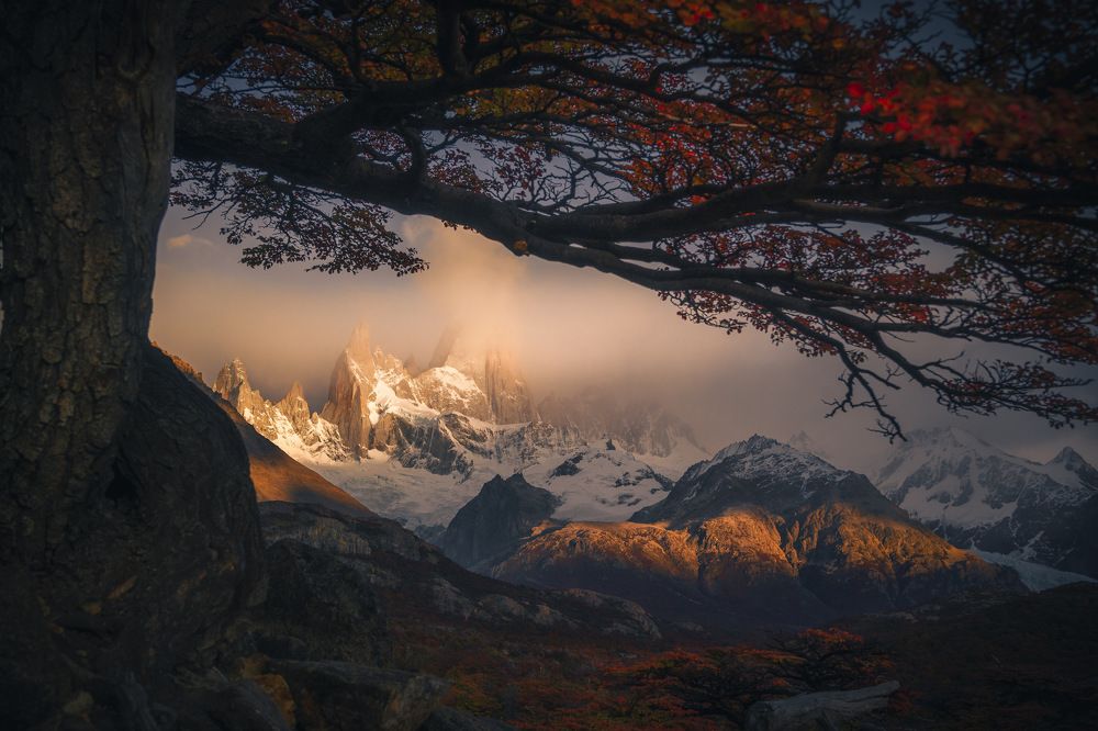 Photograph by Sebastian Bellia