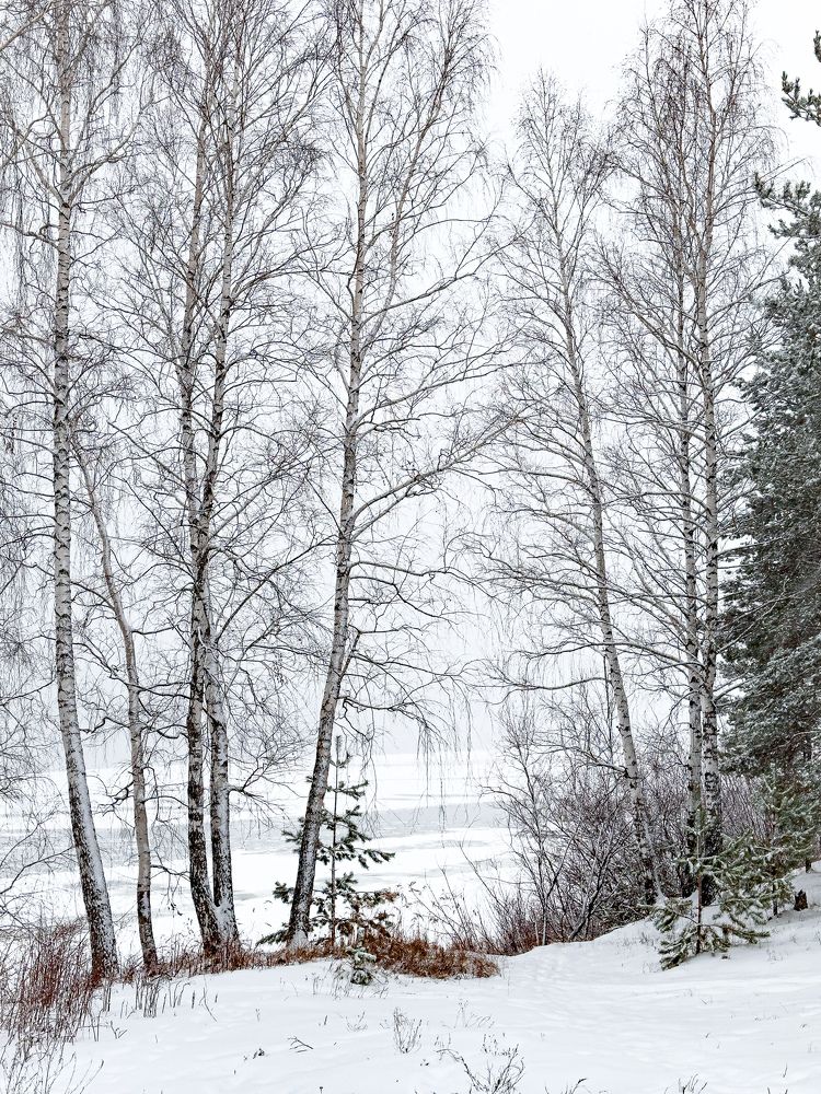 Photograph by Evgenia Privalova