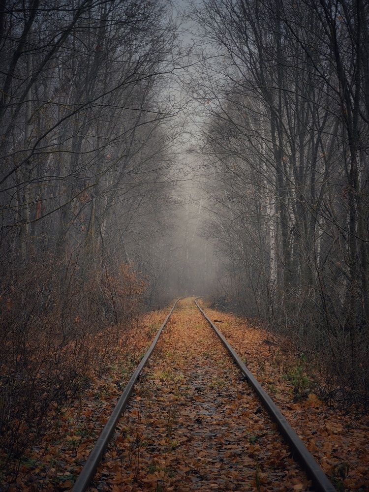 Поздняя осень