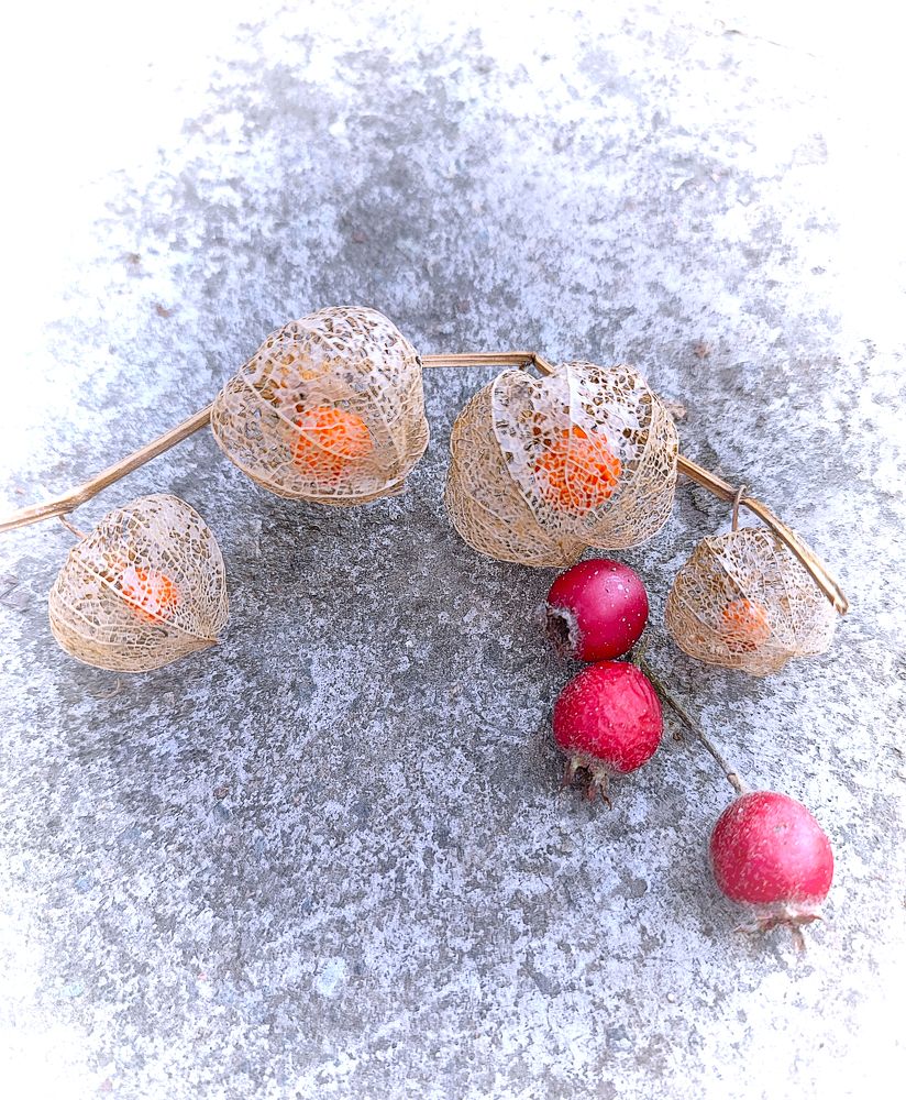 Photograph by Кобелева Евгения