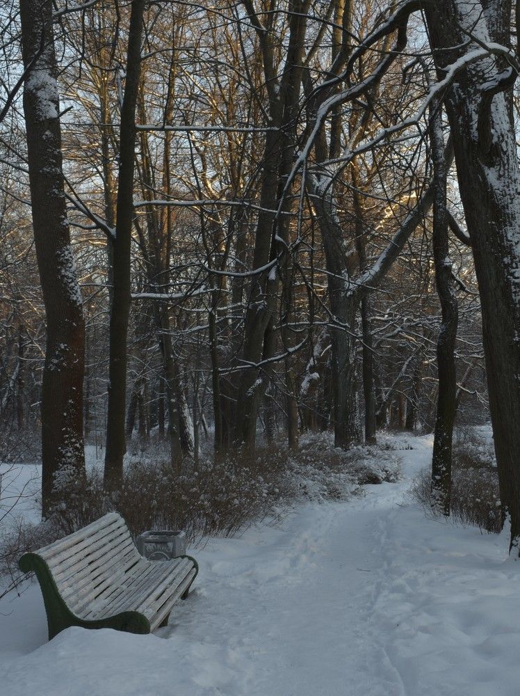 Photograph by Анастасия Яковенко