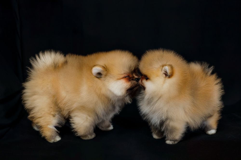 Фотография автора Александр Леонтьев