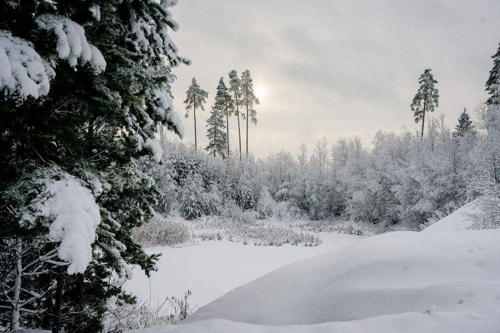 Photograph by Марина Суздаль