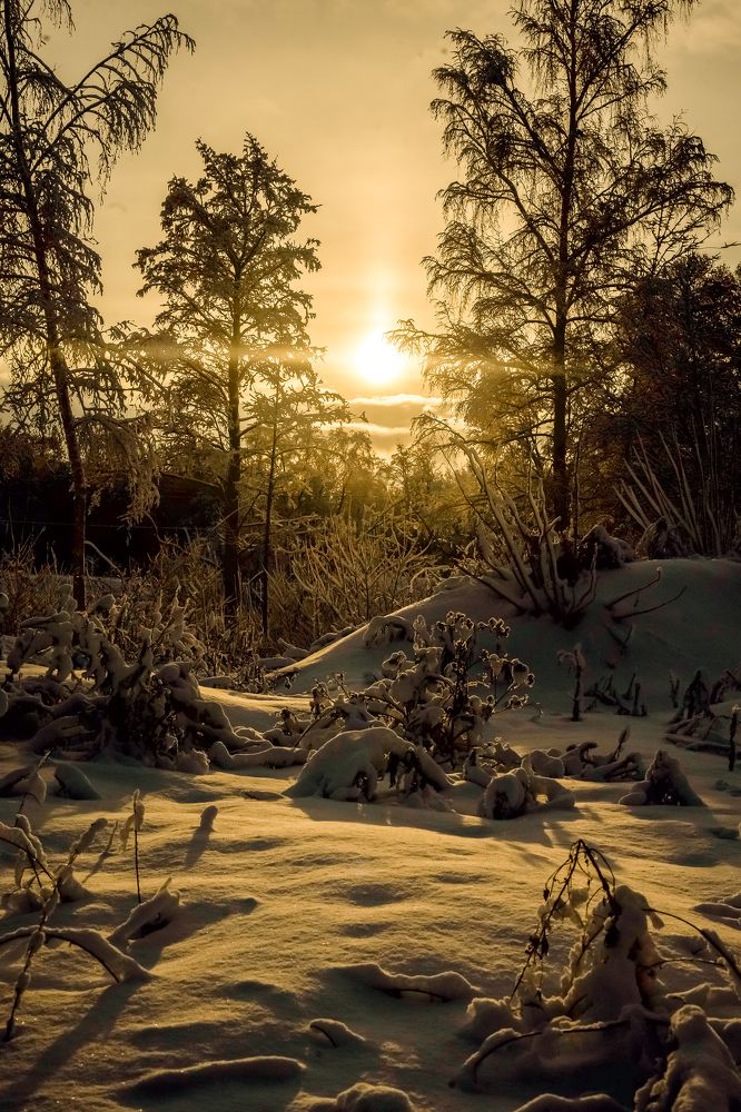 Photograph by Марина Суздаль