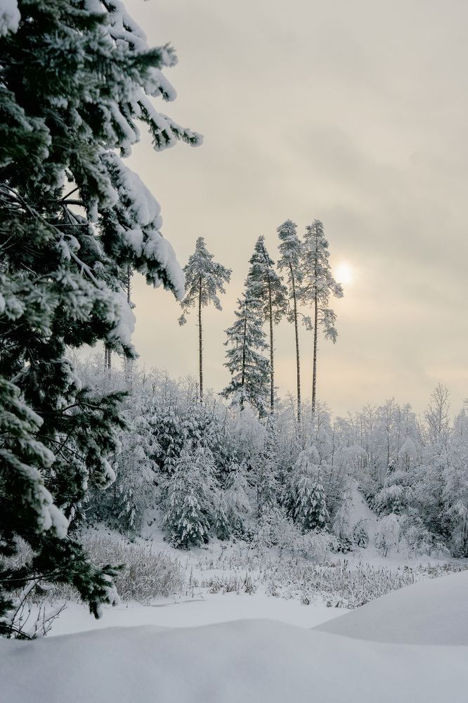 Photograph by Марина Суздаль