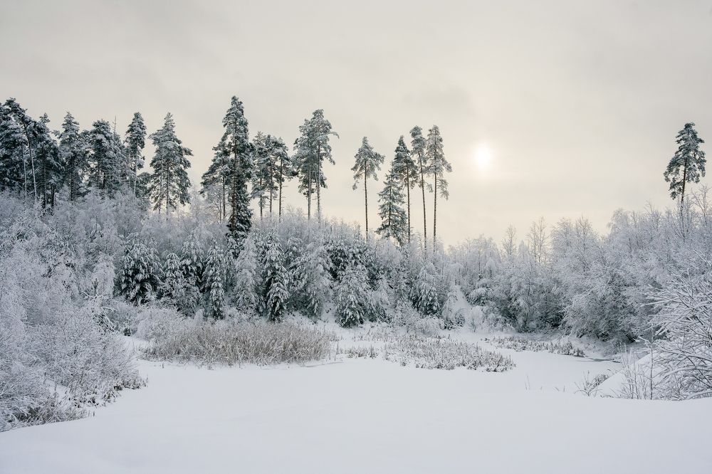 Photograph by Марина Суздаль