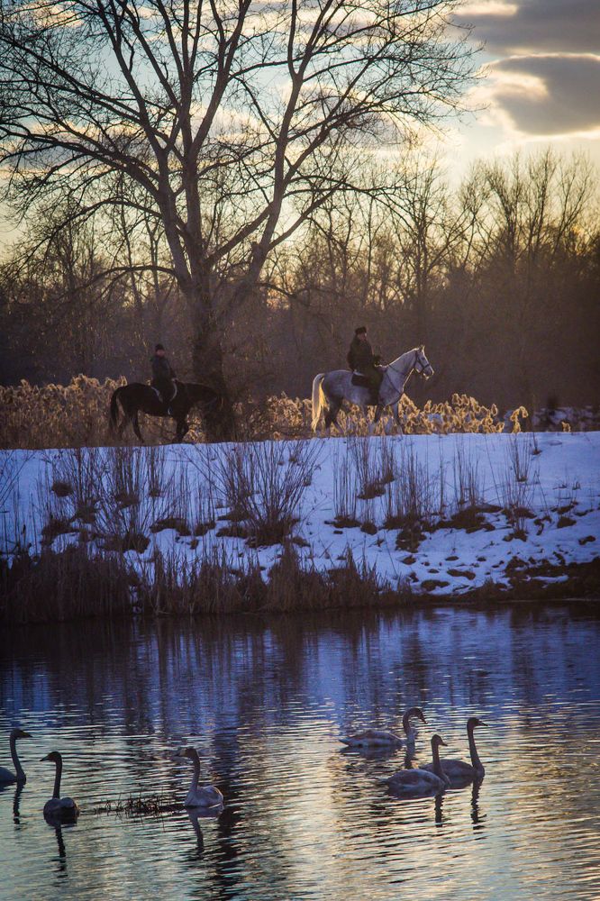 Фотография автора Ксения Смирнова