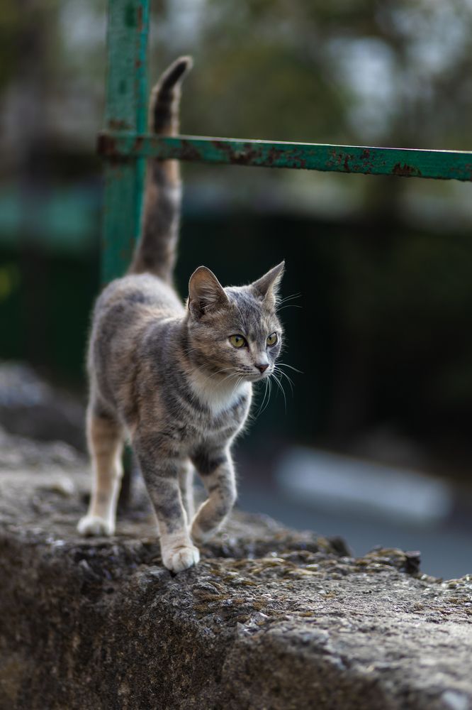 Photograph by Павел Дженбаз