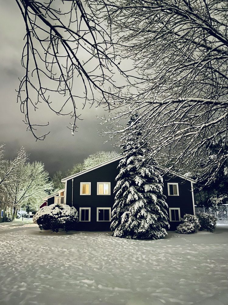 Фотография автора Olga Andriuc