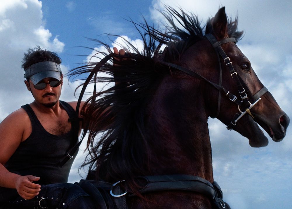 Фотография автора Elshafei Salih