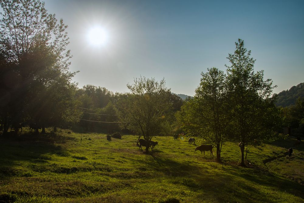 Photograph by Яна Афанасьева