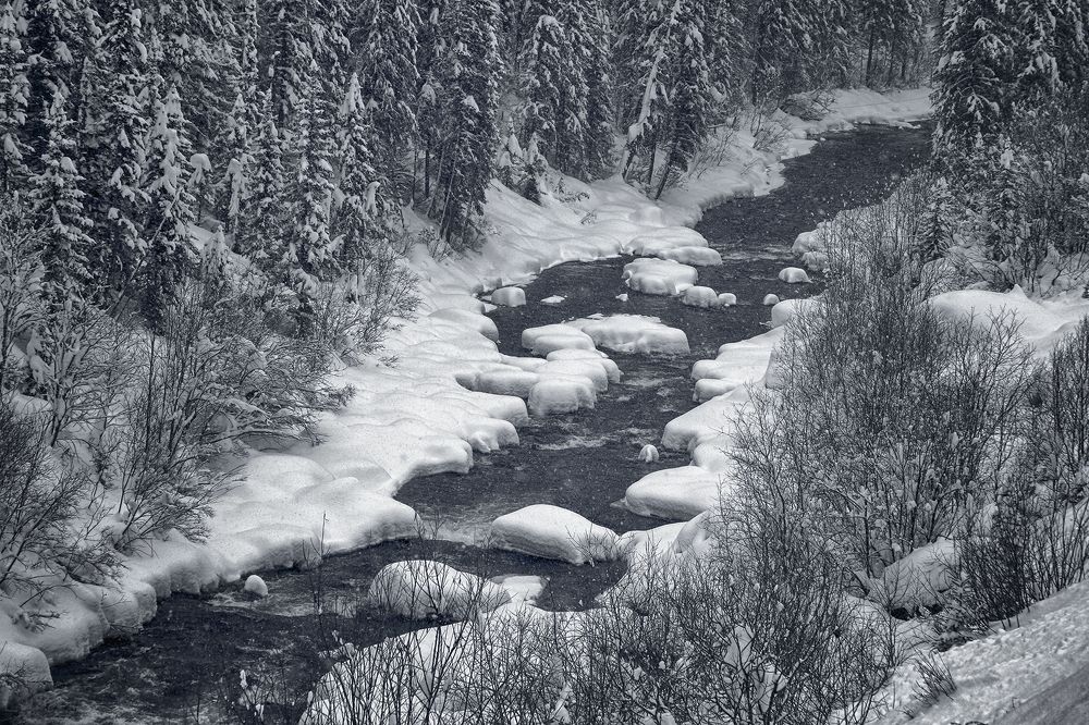 Photograph by Олег Тетерин