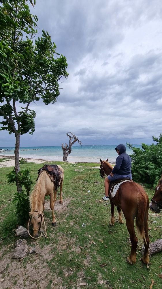 Photograph by Renata Sirazitdinova