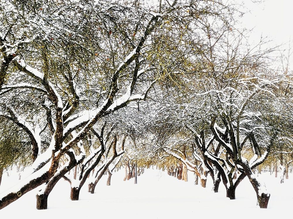 Photograph by Татьяна Соколовская