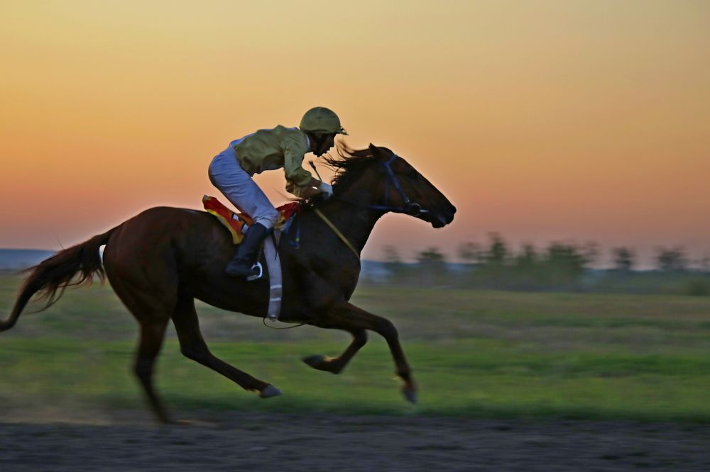 Photograph by Александр Велигура