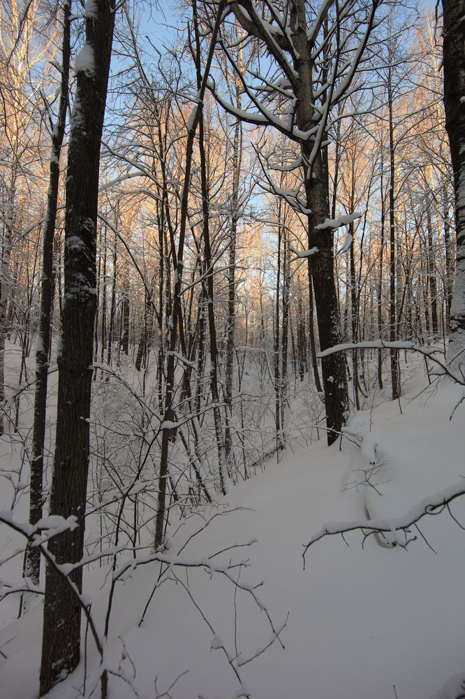 Photograph by Владимир Ясюкевич
