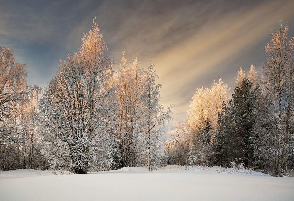 Photograph by Игорь Шишпанов