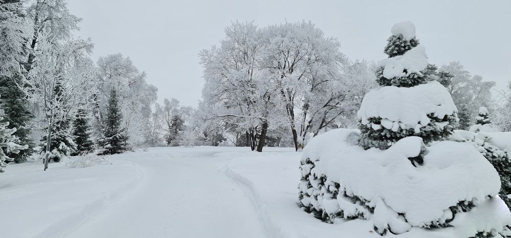 Photograph by Natasha Kim