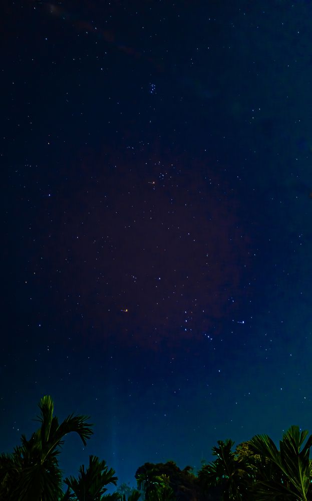 Photograph by Nishant Das