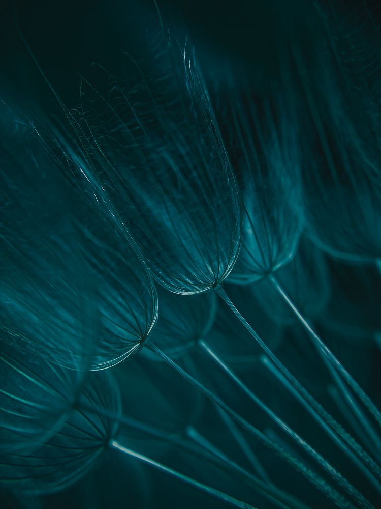 Изумрудные терни