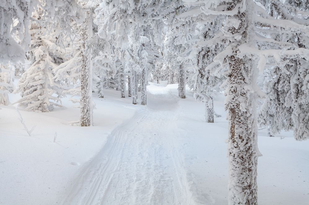 Photograph by Евгений Москвин