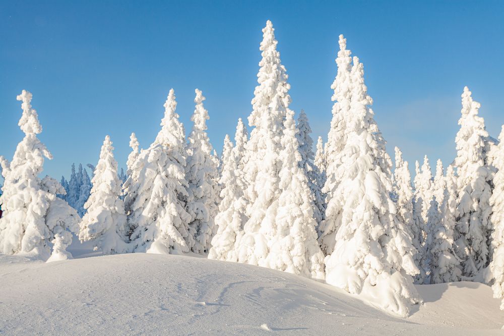 Photograph by Евгений Москвин