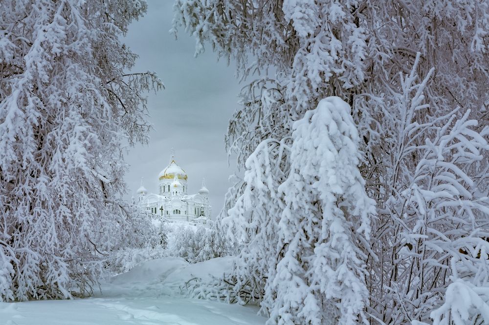 Пасмурный день в Белогорье.