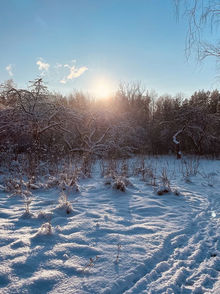 Photograph by Veronika Vilima