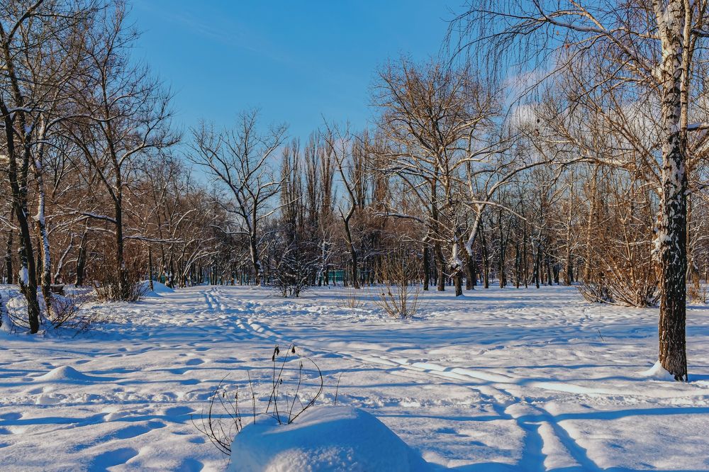 Морозное утро на рождество..