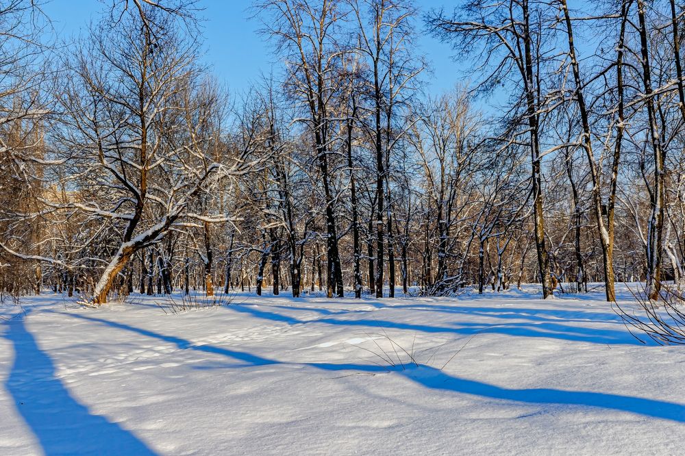 Утром морозным..