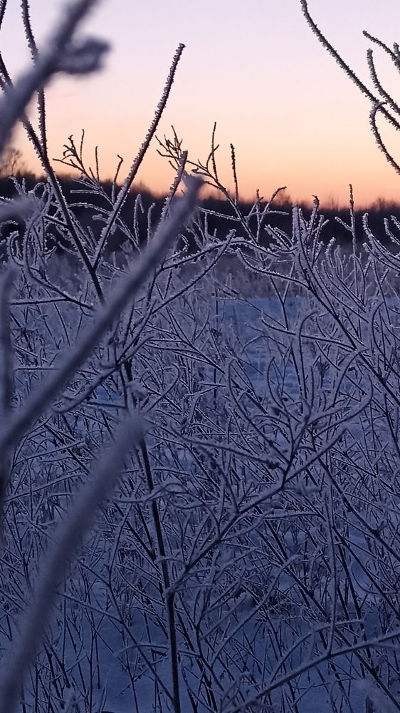 Photo #10080369