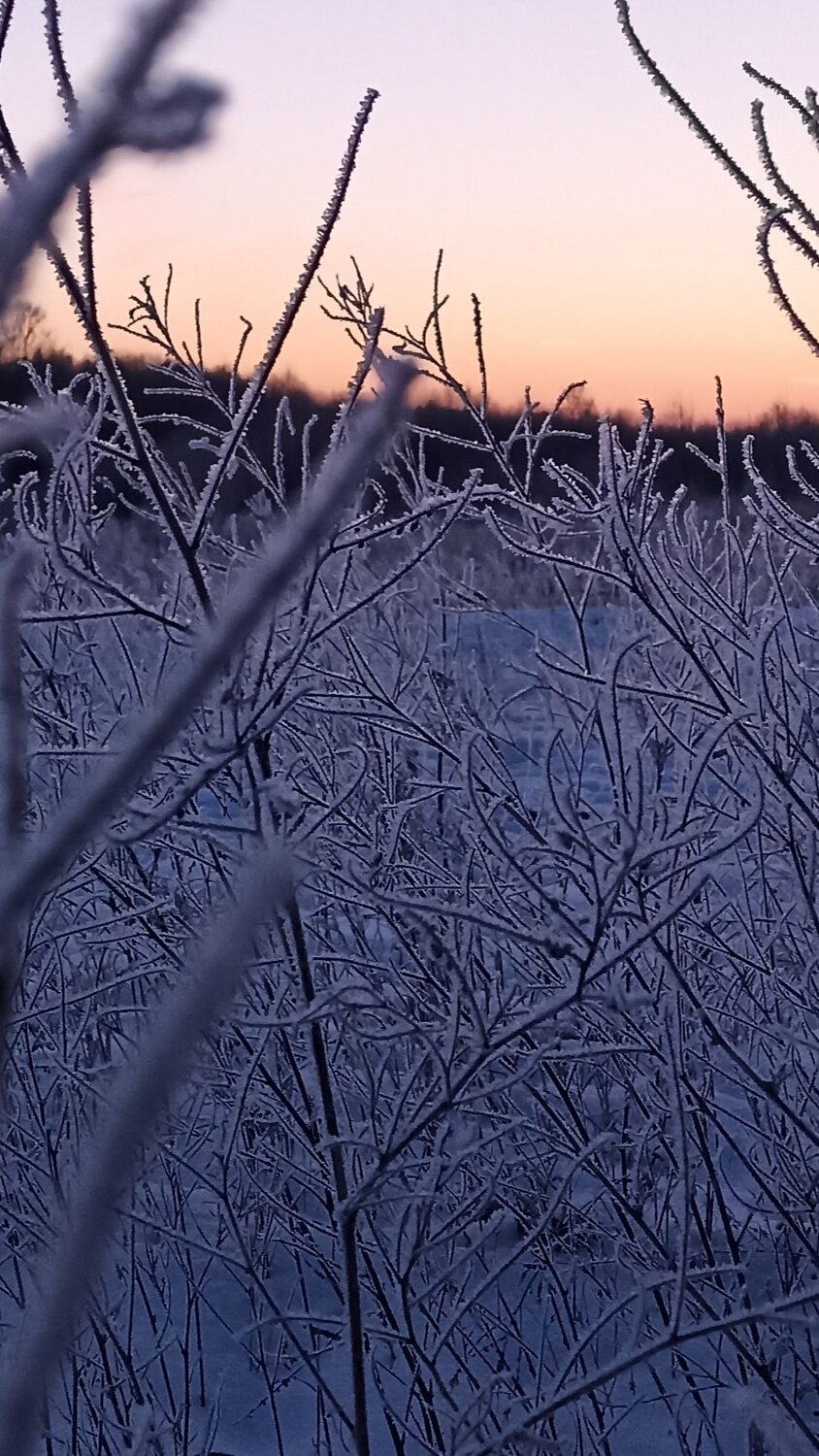 Photo #10080369
