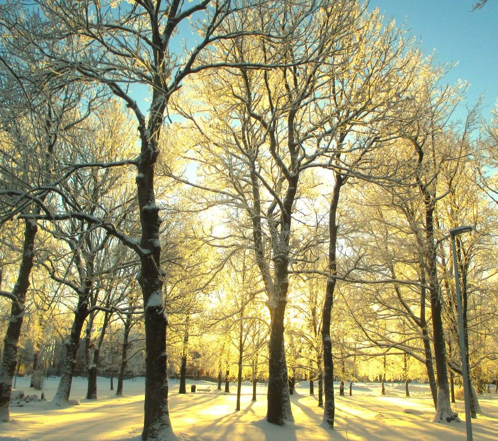 Photograph by Anna Baykova