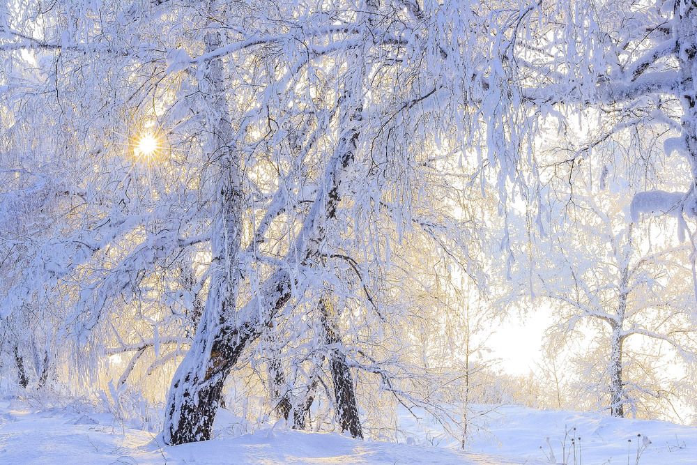 Photograph by Сергей Богородский