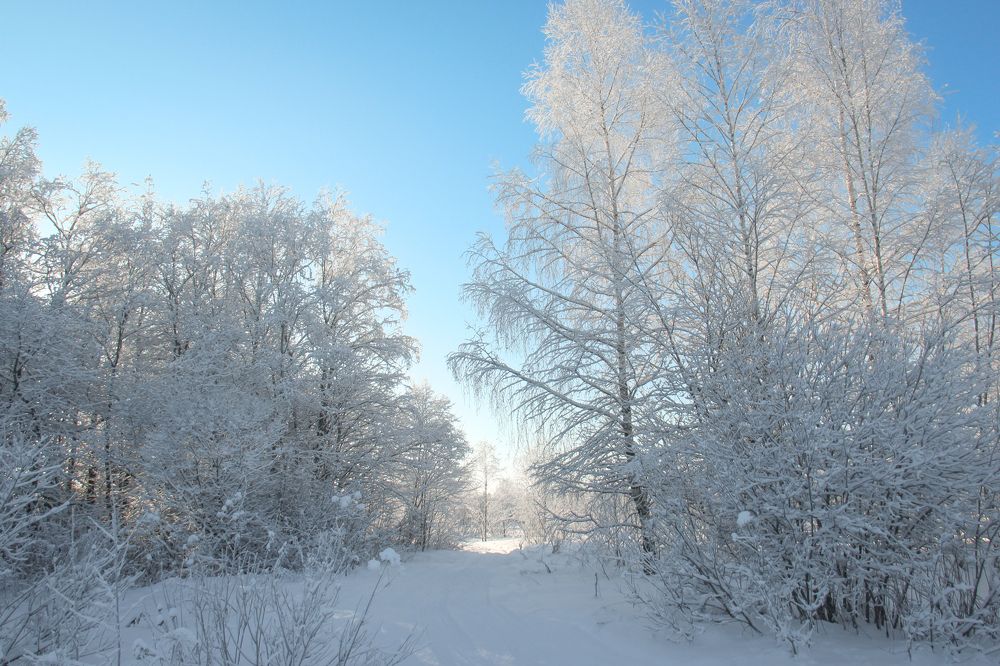 Photograph by Наталья Сапрыкина