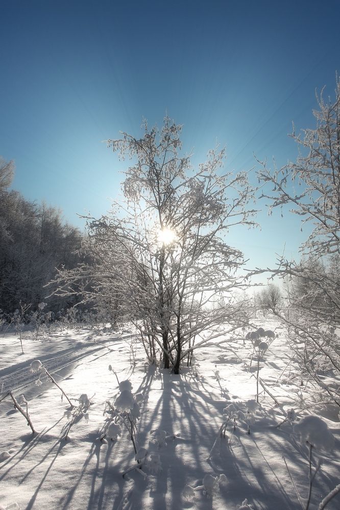 Photograph by Наталья Сапрыкина