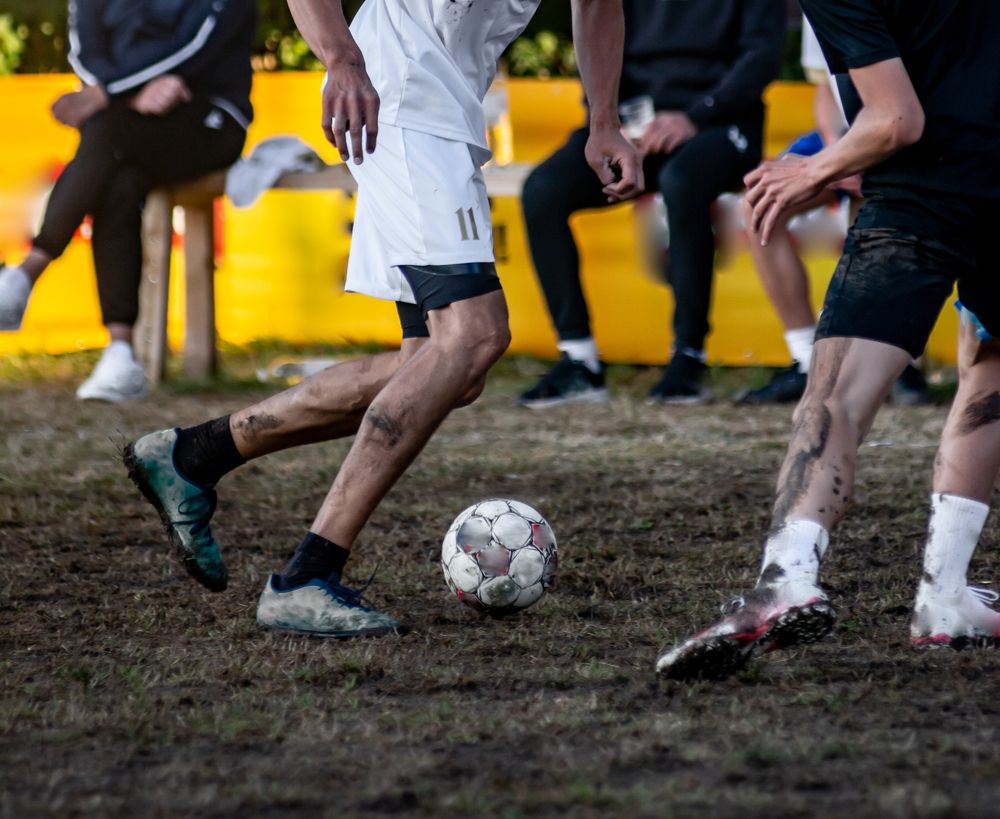 Photograph by Livno&Dinaric Wildlife