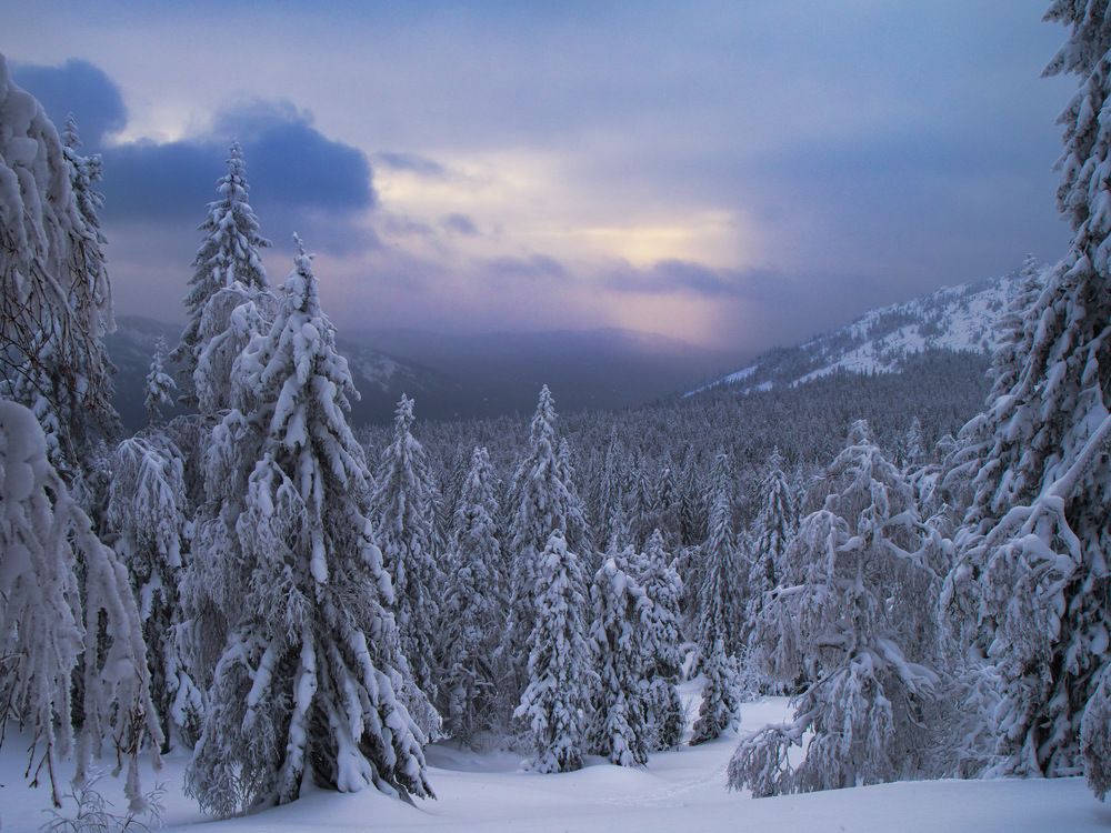 Photograph by Алексей Поляков