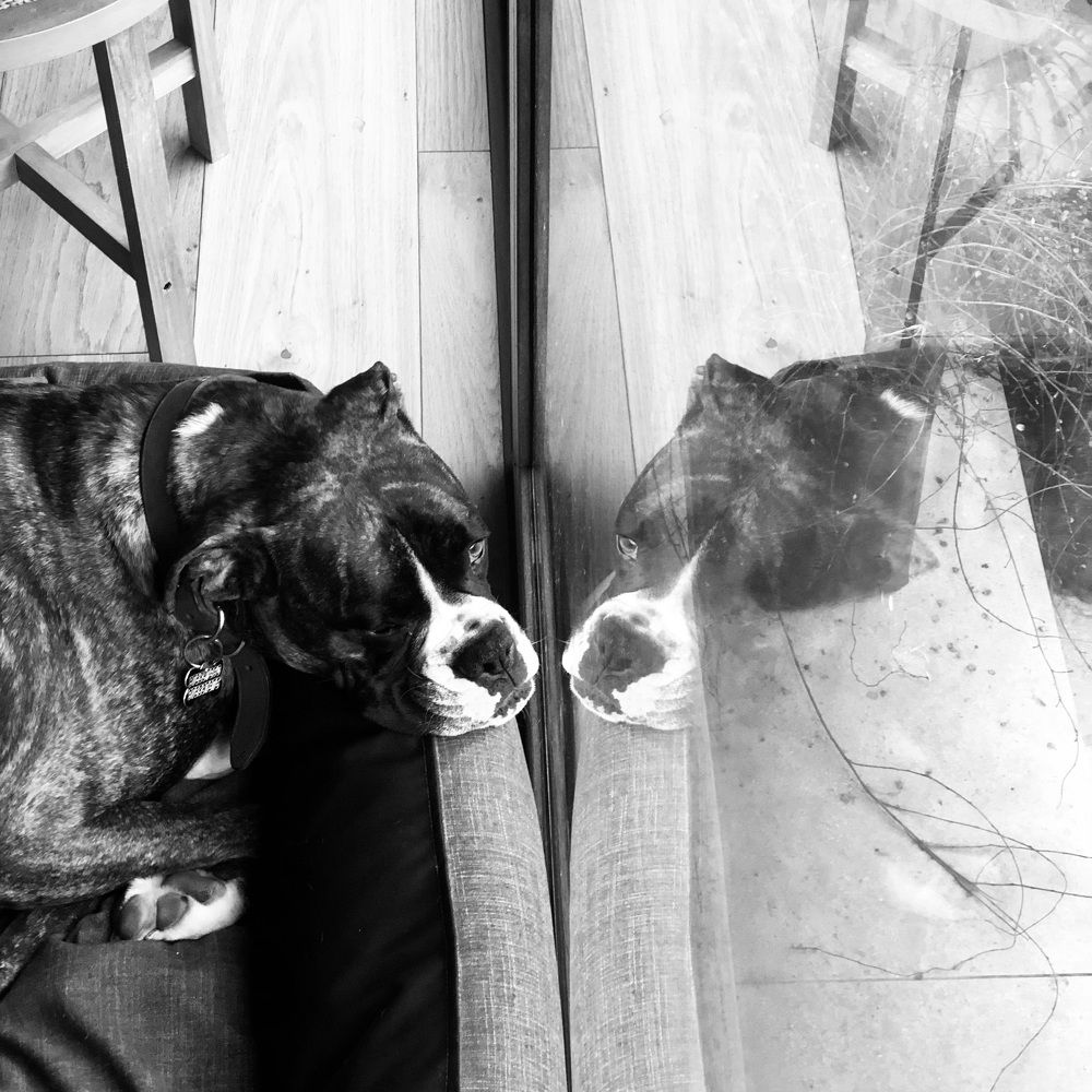 Bartolo mirando a Bartolito