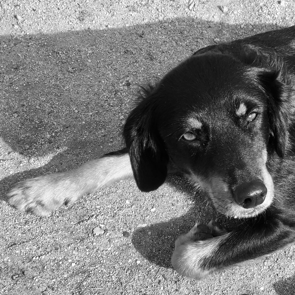 En la profundidad de tu ser