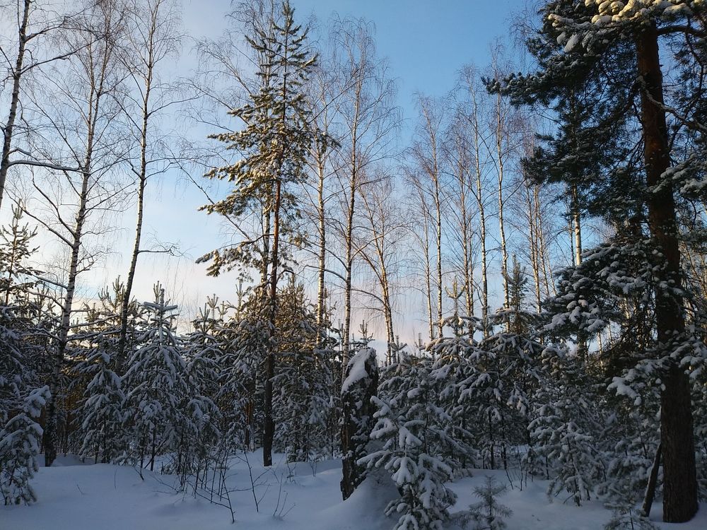 Photograph by Инна Голубева