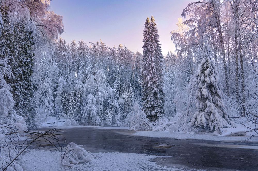 Морозный денёк