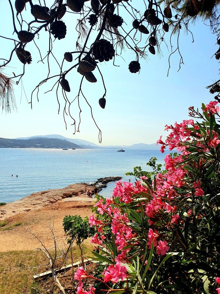 Beautiful seaside of Athens