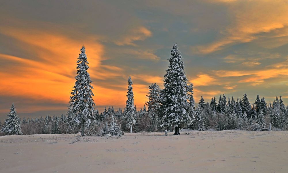 Фотография автора Юрий Кетель